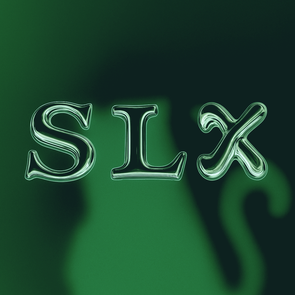 Server Icon